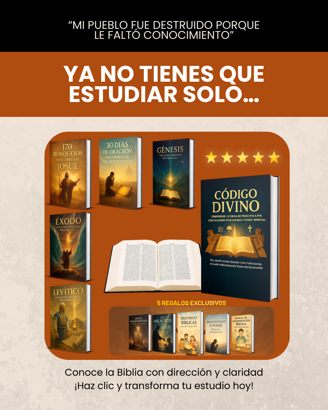 Bosquejo Visual Muestra 8